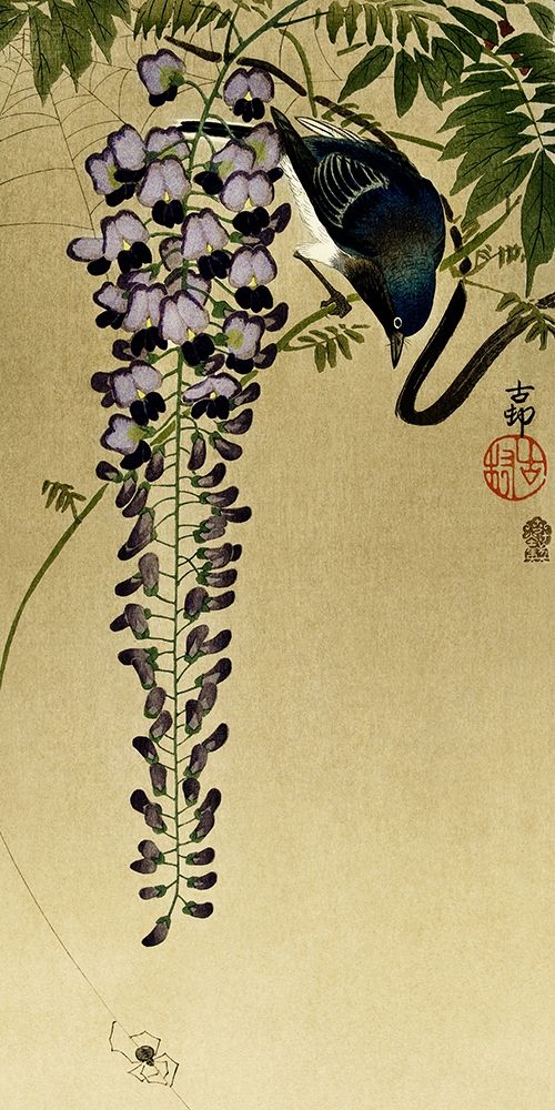 Flycatcher at wisteria art print by Ohara Koson for $57.95 CAD