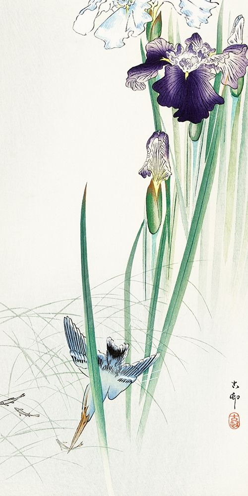 Kingfisher and irises art print by Ohara Koson for $57.95 CAD