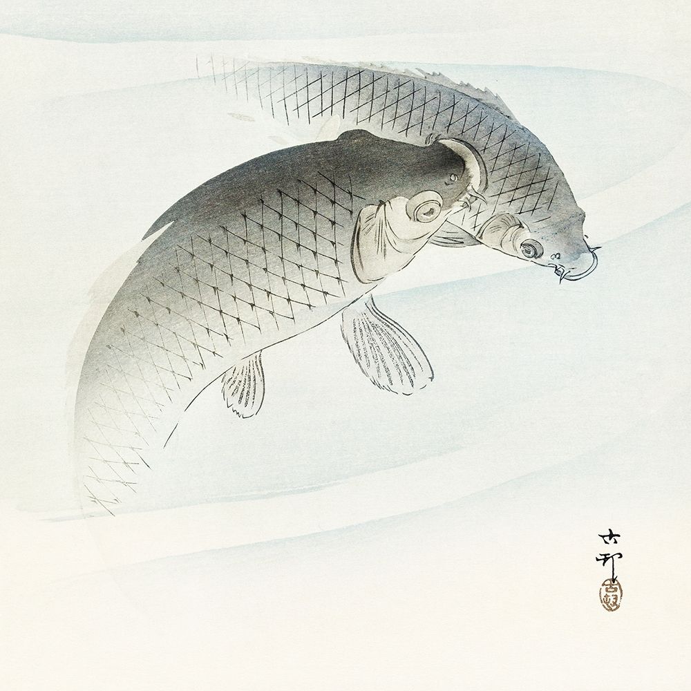 Two carp fish art print by Ohara Koson for $57.95 CAD