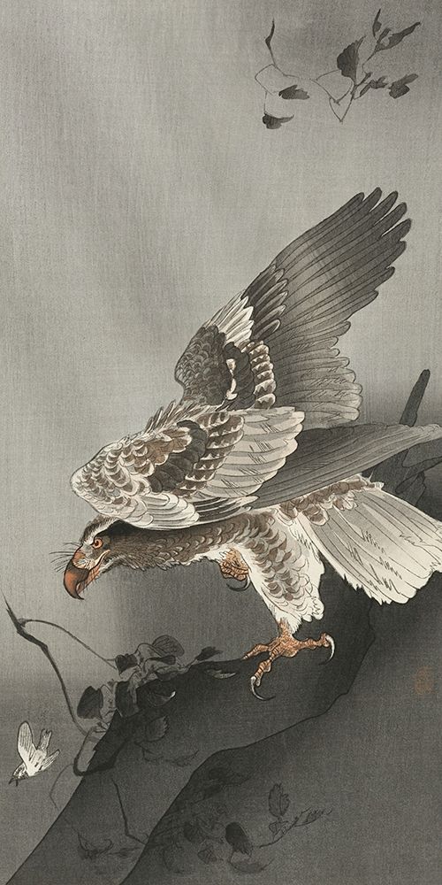 Eagle lurking at a prey art print by Ohara Koson for $57.95 CAD