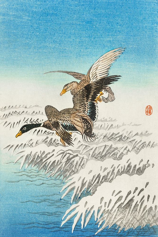 Pair of ducks flying over snowy reed collar art print by Ohara Koson for $57.95 CAD