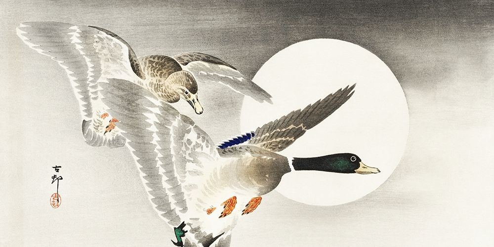 Two ducks at full moon art print by Ohara Koson for $57.95 CAD