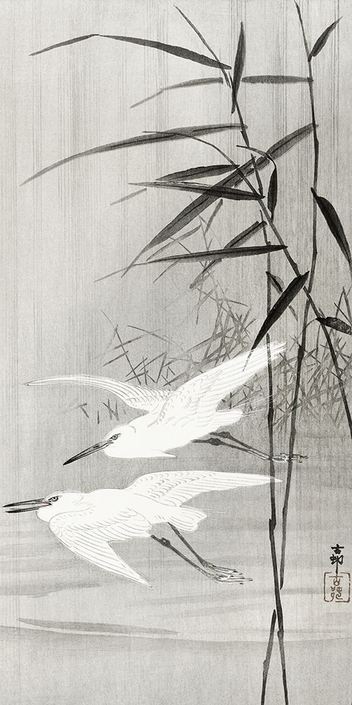 Two egrets in flight art print by Ohara Koson for $57.95 CAD