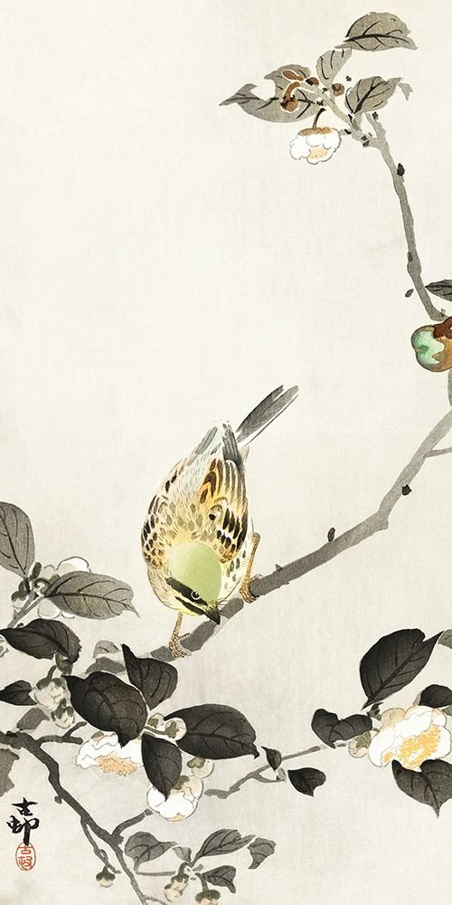 Bunting on blossom branch art print by Ohara Koson for $57.95 CAD