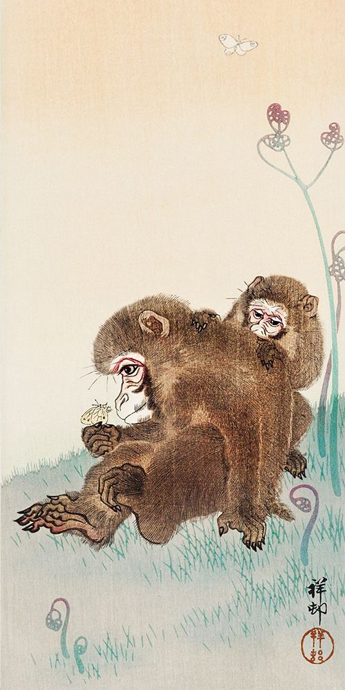 Two monkeys art print by Ohara Koson for $57.95 CAD