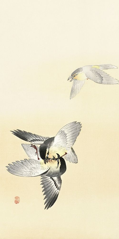Two fighting birds art print by Ohara Koson for $57.95 CAD
