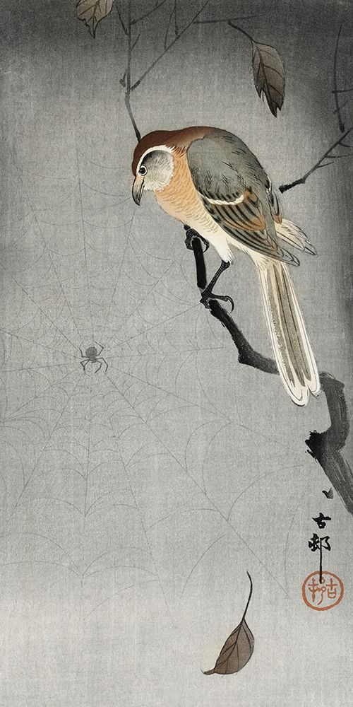 Buffalo wing shrike and spider art print by Ohara Koson for $57.95 CAD