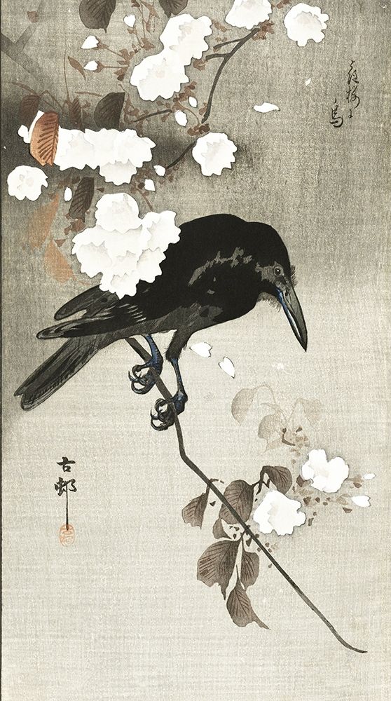 Crow with cherry blossom art print by Ohara Koson for $57.95 CAD