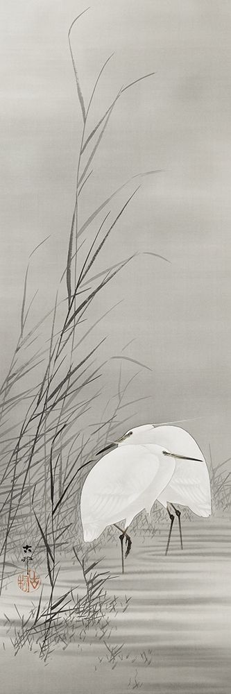 Egrets in a swamp art print by Ohara Koson for $57.95 CAD
