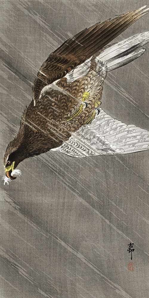 Downward flying eagle art print by Ohara Koson for $57.95 CAD