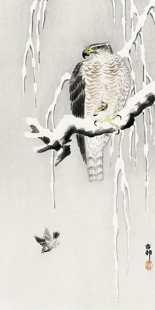 Hawk with captured ring sparrow art print by Ohara Koson for $57.95 CAD