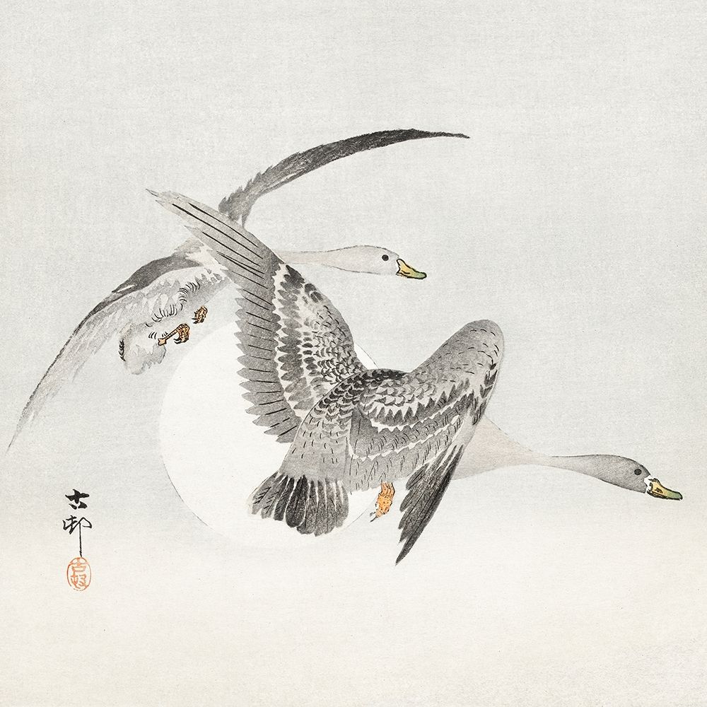 Two colt geese in flight art print by Ohara Koson for $57.95 CAD