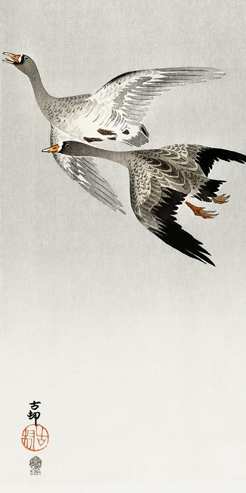 Great geese, flying in the snow art print by Ohara Koson for $57.95 CAD
