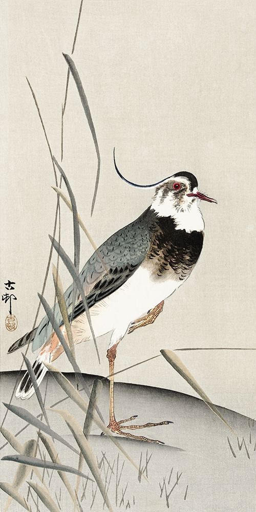 Lapwing and reed art print by Ohara Koson for $57.95 CAD