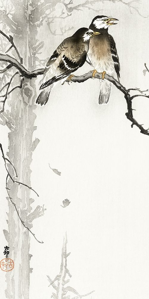 Two gray starlings art print by Ohara Koson for $57.95 CAD