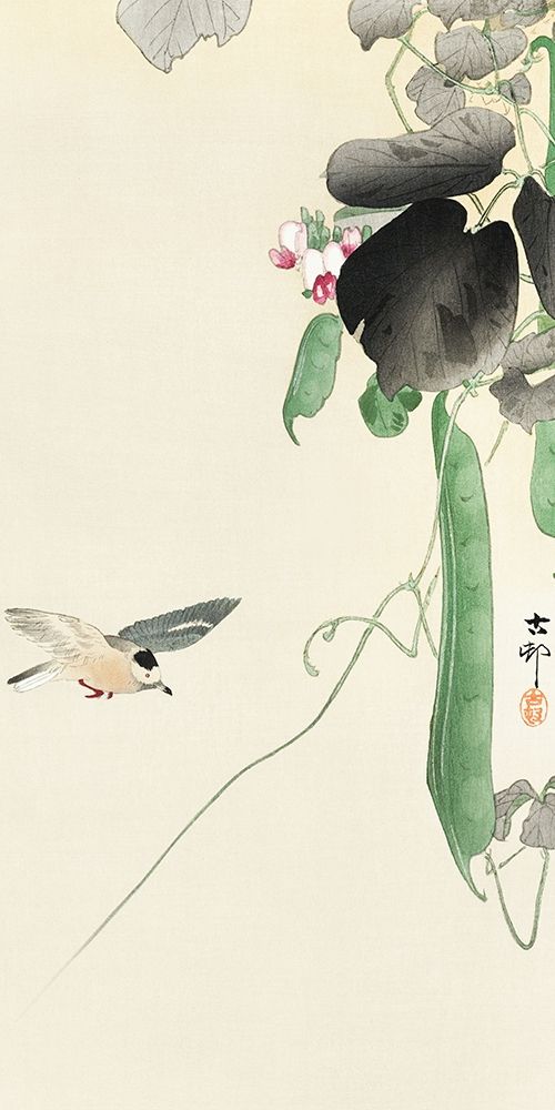Bird at flowering bean plant art print by Ohara Koson for $57.95 CAD