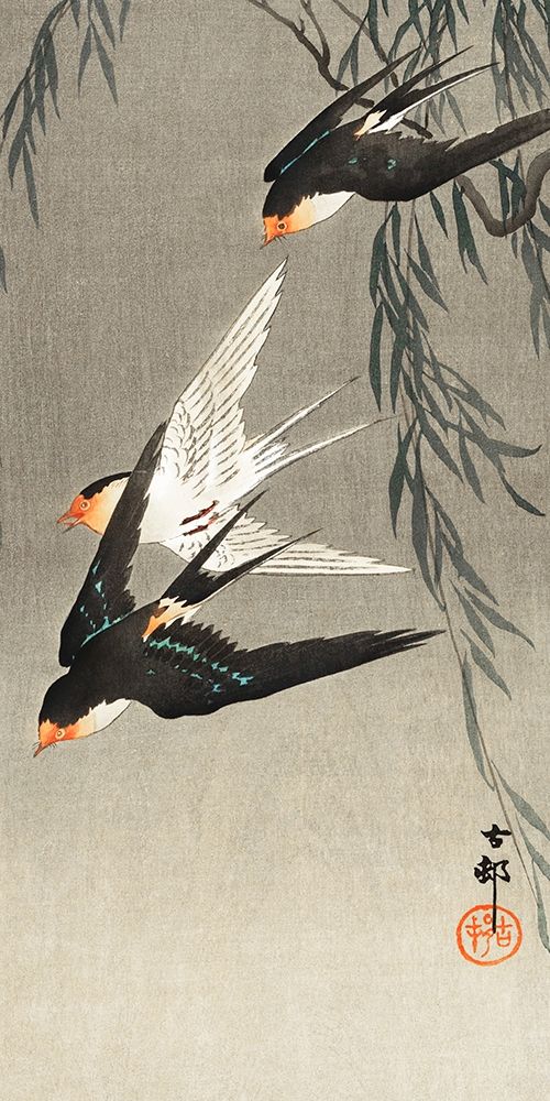Three red-tailed swallows in dive art print by Ohara Koson for $57.95 CAD