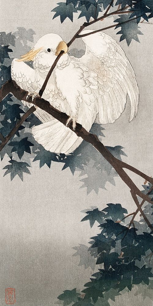 Yellow crested cockatoo in tree art print by Ohara Koson for $57.95 CAD