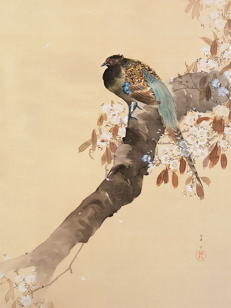Pheasant on cherry blossom branch art print by Ohara Koson for $57.95 CAD