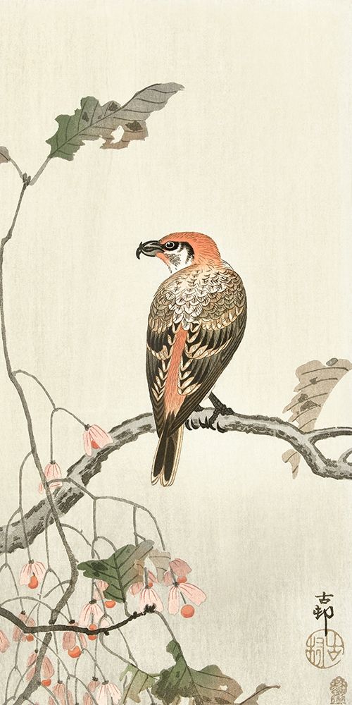 Crossbill on tree branch art print by Ohara Koson for $57.95 CAD