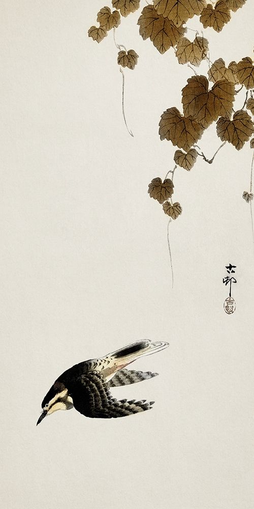 Bird in downward flight art print by Ohara Koson for $57.95 CAD