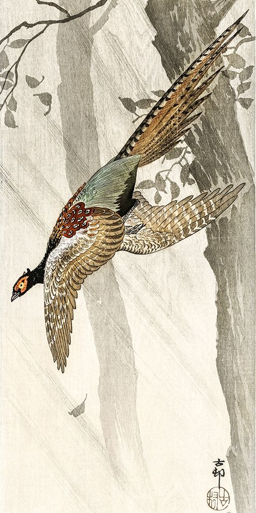 Flying pheasant art print by Ohara Koson for $57.95 CAD