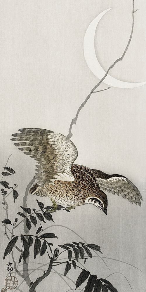 Quail at moon sickle art print by Ohara Koson for $57.95 CAD