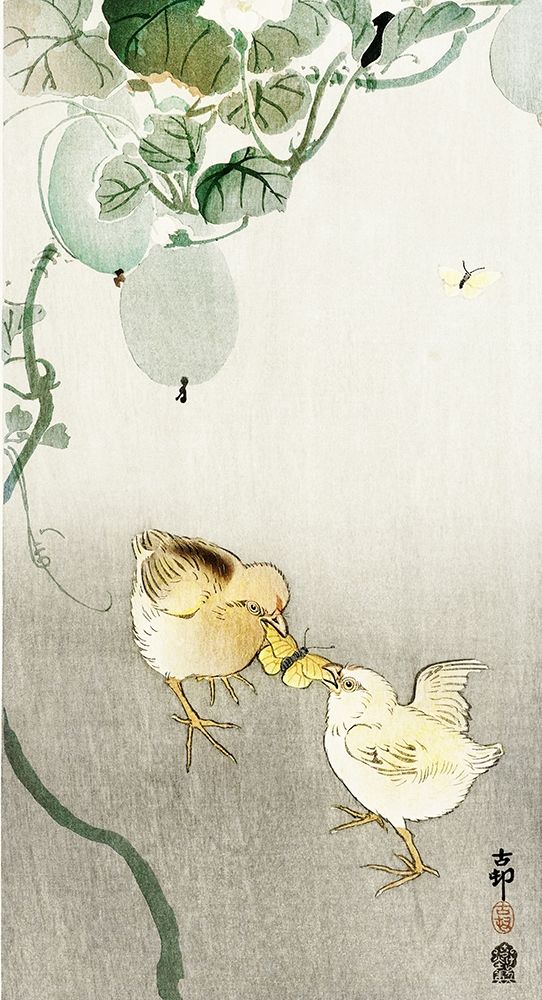 Two chicks fighting for a butterfly art print by Ohara Koson for $57.95 CAD