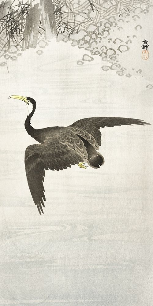 Cormorant in flight art print by Ohara Koson for $57.95 CAD