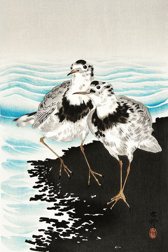 Large coot sandpipers art print by Ohara Koson for $57.95 CAD