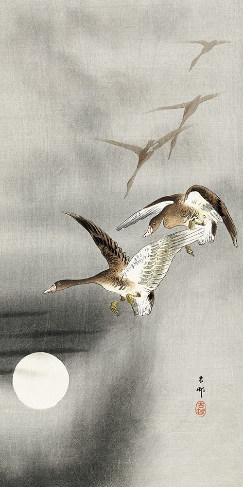 Geese in flight art print by Ohara Koson for $57.95 CAD