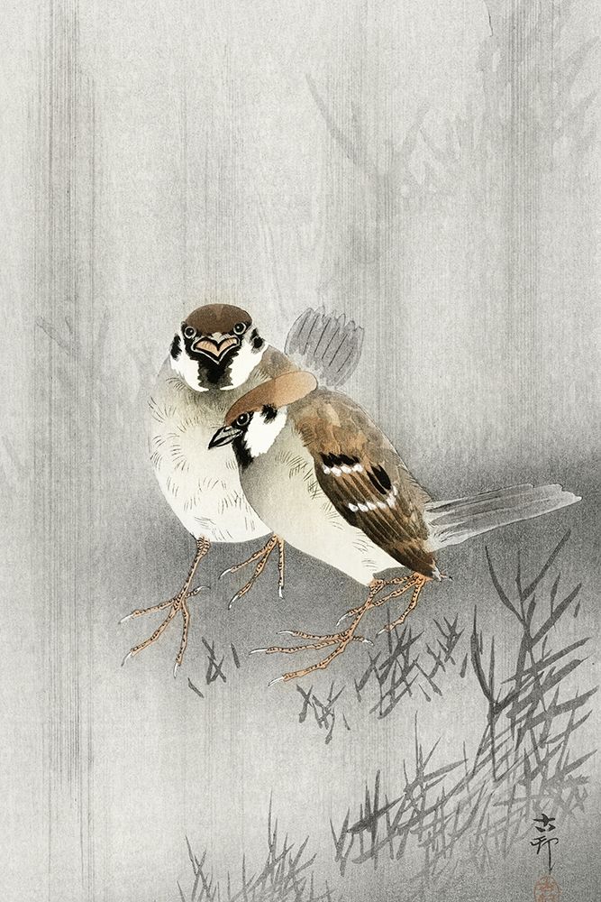Two ring sparrows in the rain art print by Ohara Koson for $57.95 CAD