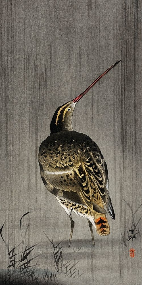 Snipe in the rain art print by Ohara Koson for $57.95 CAD