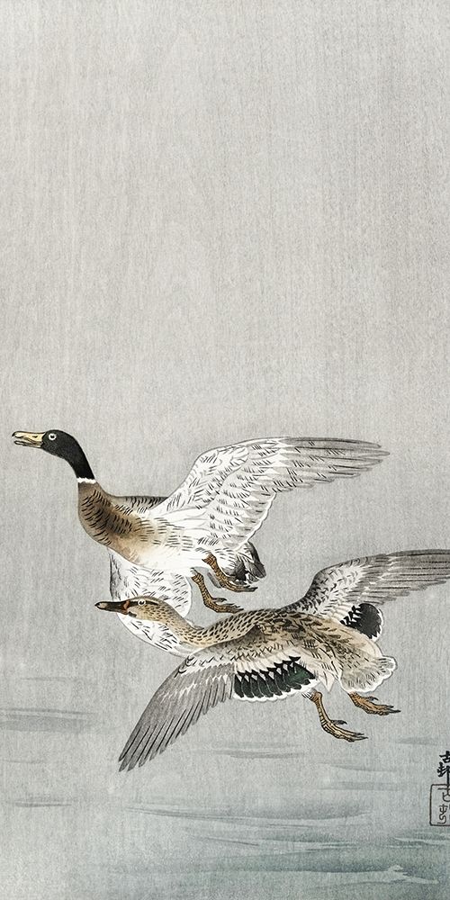 Couple of ducks art print by Ohara Koson for $57.95 CAD