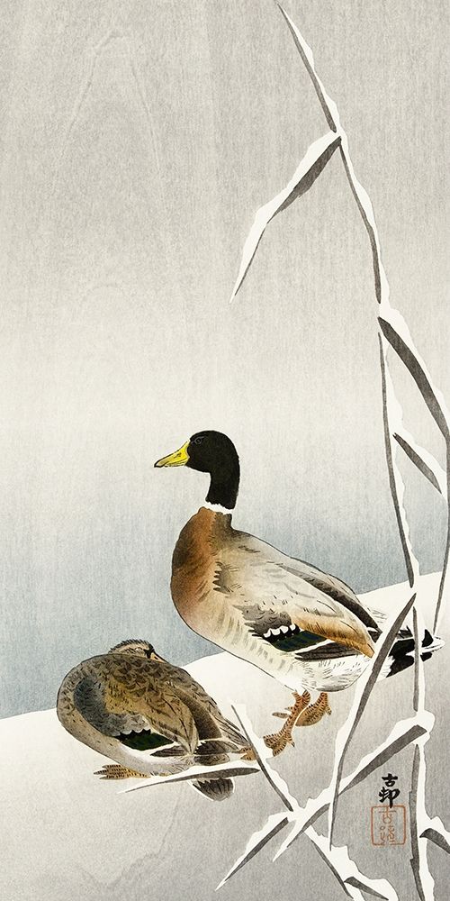 Two ducks on snowy reed art print by Ohara Koson for $57.95 CAD