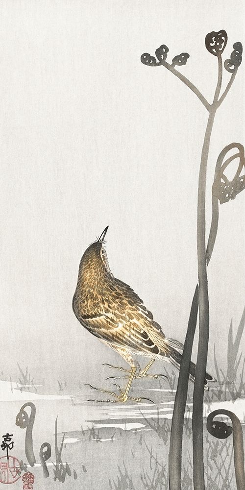 Pipit on a waterfront art print by Ohara Koson for $57.95 CAD