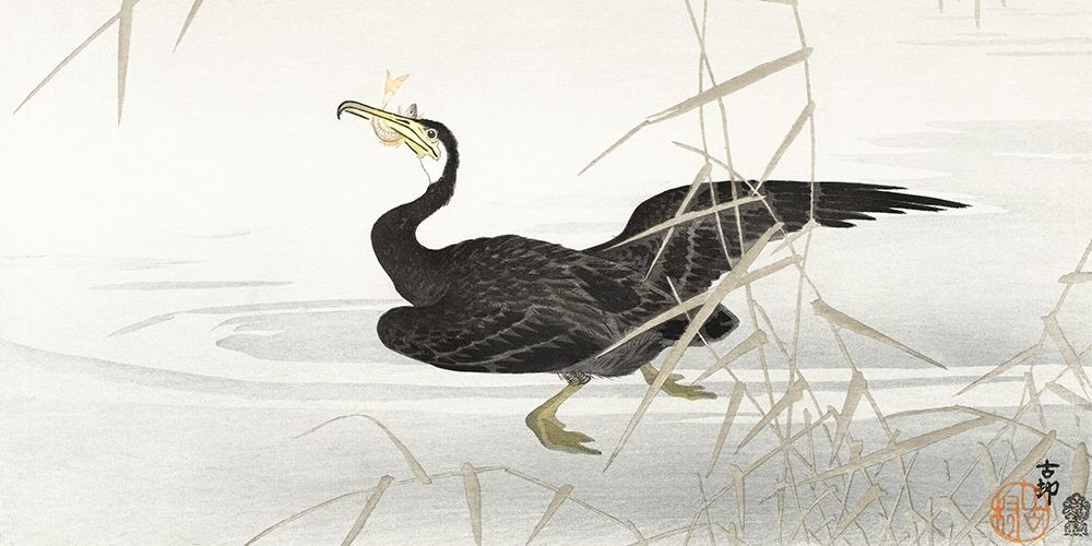 Japanese cormorant catching fish art print by Ohara Koson for $57.95 CAD