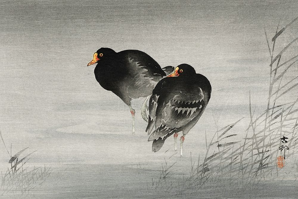 Two moorhens art print by Ohara Koson for $57.95 CAD