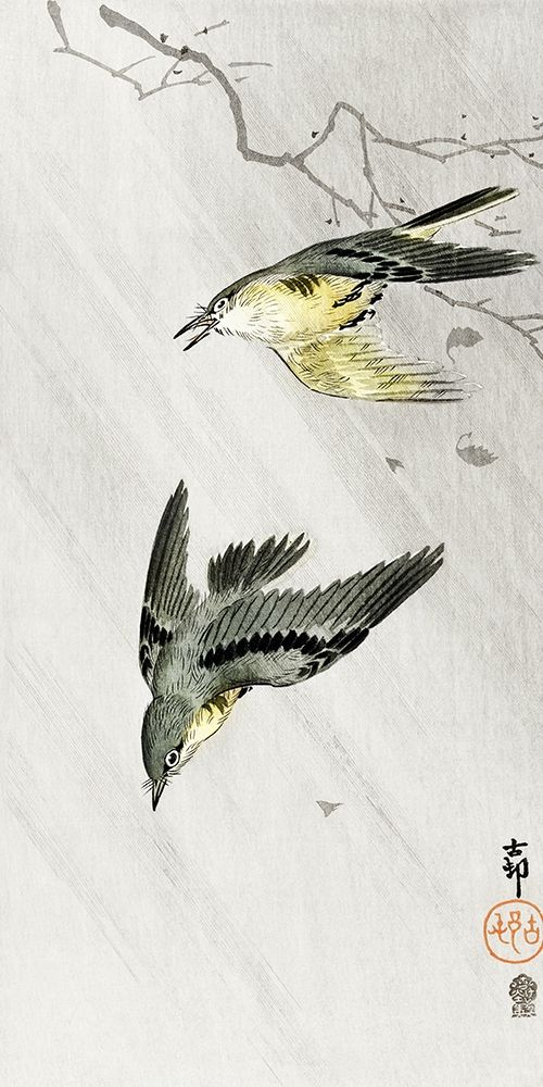 Songbirds in rain art print by Ohara Koson for $57.95 CAD