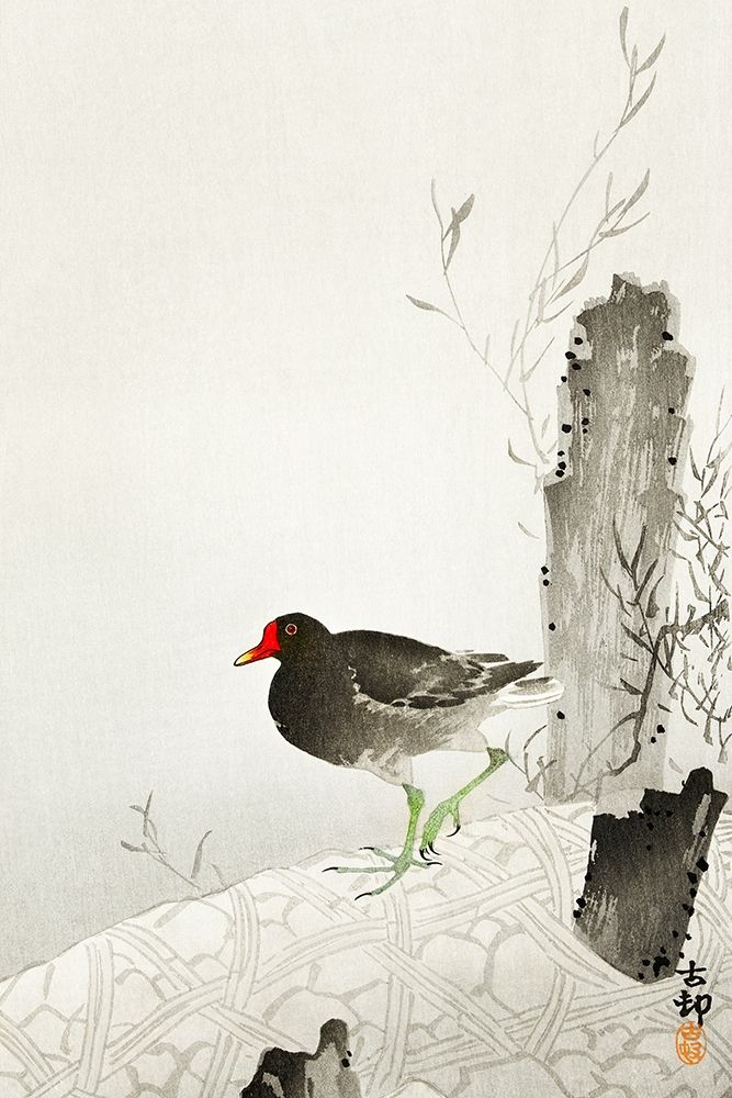 Moorhen art print by Ohara Koson for $57.95 CAD