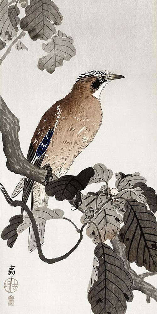 Jay on tree branch art print by Ohara Koson for $57.95 CAD