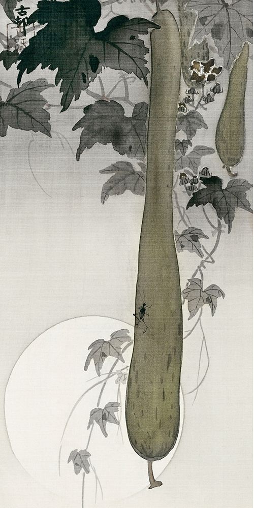 Wild cucumber and a full moon art print by Ohara Koson for $57.95 CAD