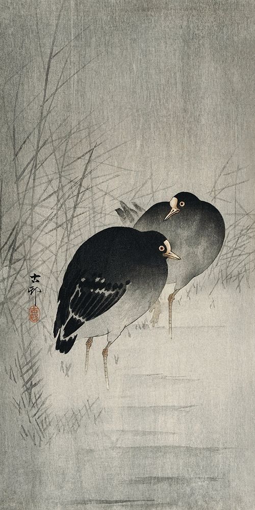 Moorhills between reeds art print by Ohara Koson for $57.95 CAD