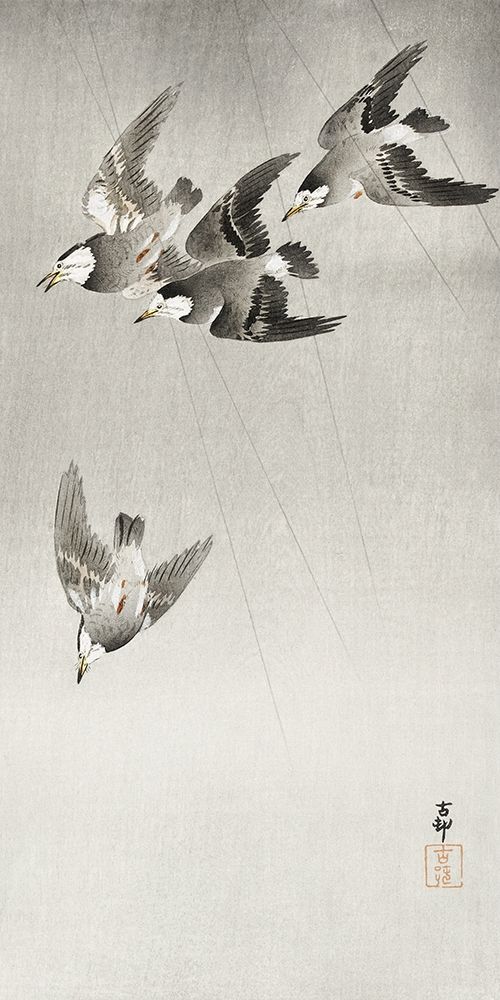Starlings in the rain art print by Ohara Koson for $57.95 CAD