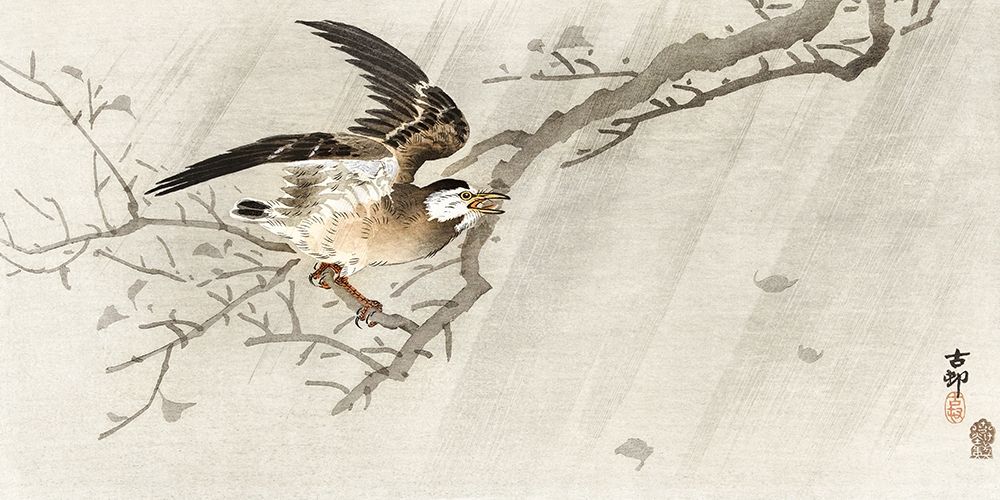 Gray starling in storm art print by Ohara Koson for $57.95 CAD
