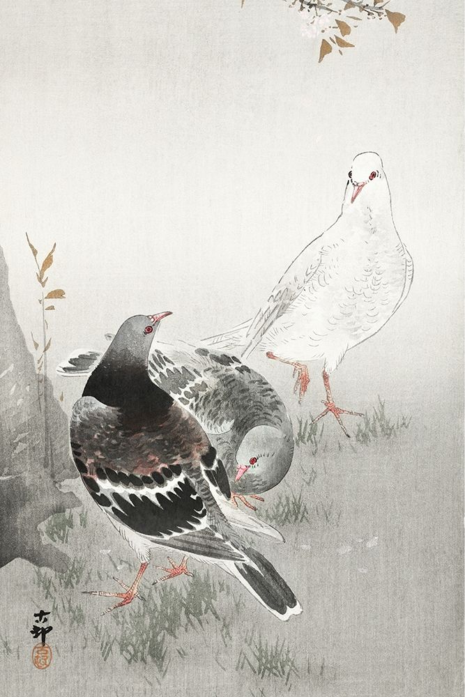 Three pigeons art print by Ohara Koson for $57.95 CAD