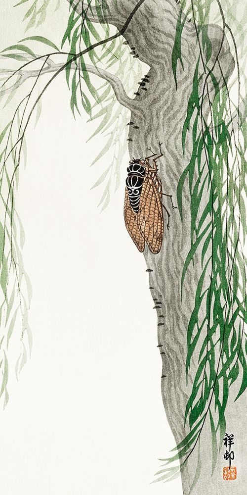Cicada on tree art print by Ohara Koson for $57.95 CAD
