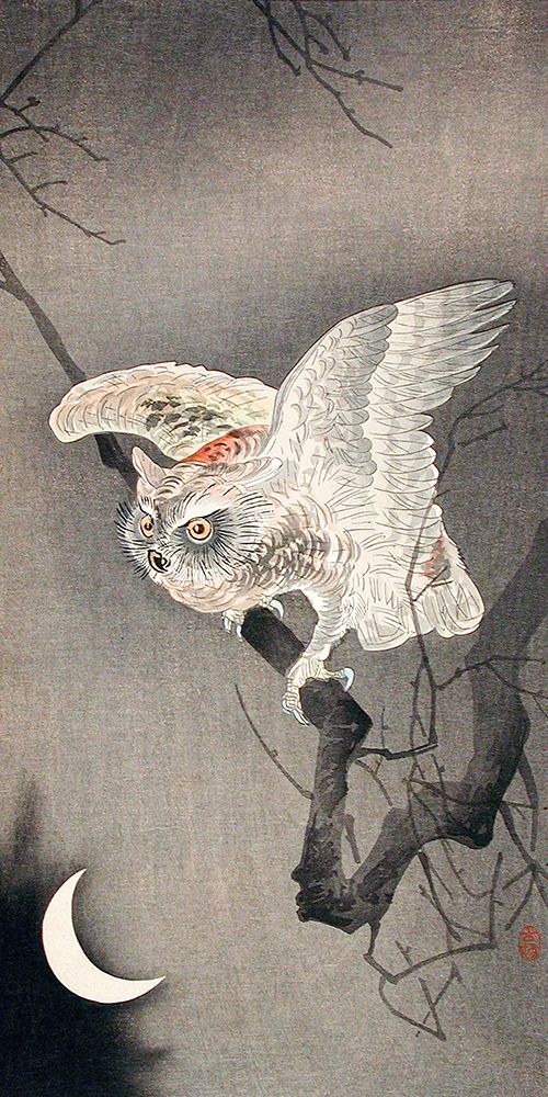 Scops Owl in Moonlight art print by Ohara Koson for $57.95 CAD