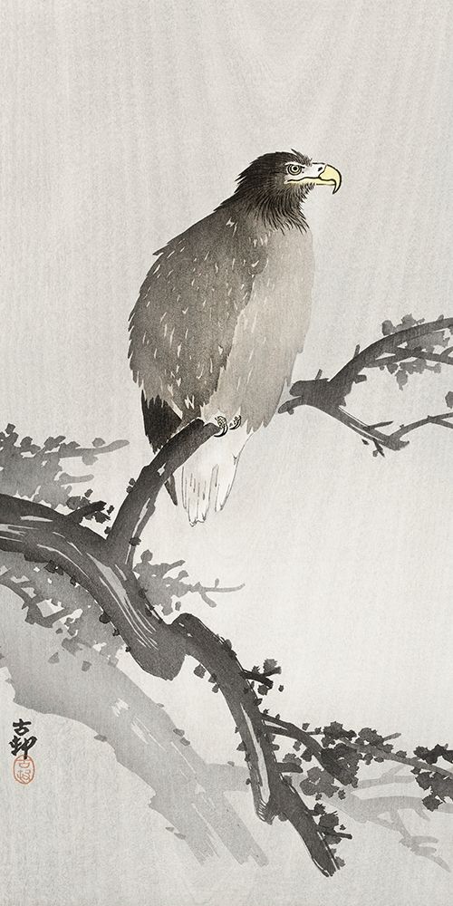White-tailed eagle on branch art print by Ohara Koson for $57.95 CAD