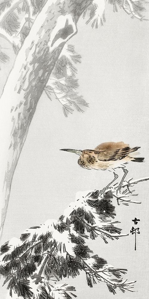 Indian quack on snowy tree branch art print by Ohara Koson for $57.95 CAD